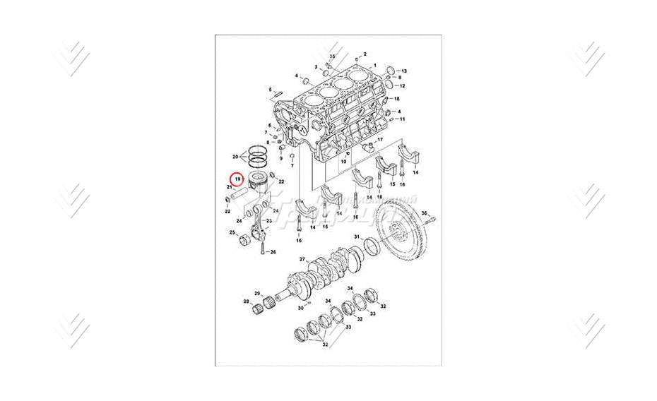 Поршень, +0,50 mm BOBCAT 6698536 картинка