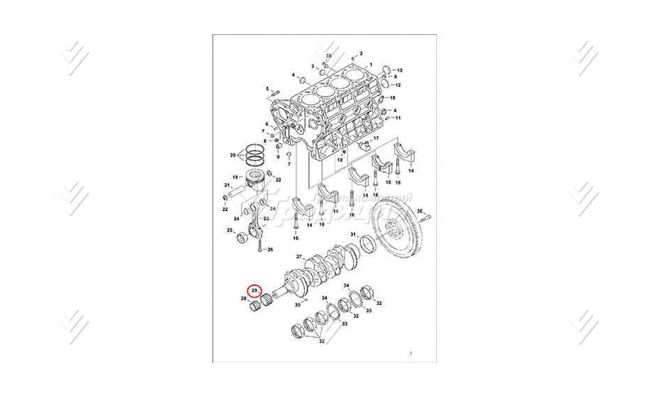 Шестерня вала коленчатого (большая) BOBCAT 6680736 картинка