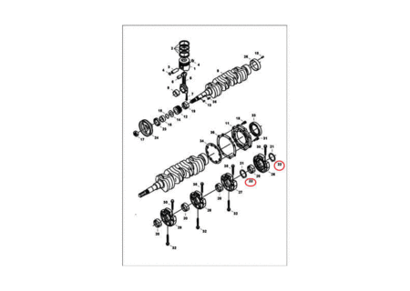 Полукольцо коленвала, std (59,94 mm), низ BOBCAT 7015267